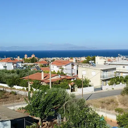 Cozy Near The Airport Apartment Artemida (Attica)